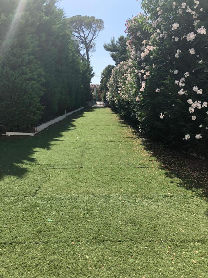 Torre Balzano B&B Valenzano Dış mekan fotoğraf